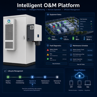 Batteria per Accumulo Energetico Industriale e Commerciale Inedge Power 50KW/100kWh LiFePO4, Sistema di Energia Solare per Microgrid