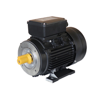 Moteur asynchrone monophasé à courant alternatif 0,75 kW 1 CV 230 V IP55 étanche avec boîtier en aluminium et démarrage par condensateur, fixation par bride