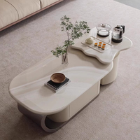 Table à thé en forme de feuille de designer moderne minimaliste Design Table basse de luxe irrégulière et ensemble de support TV pour le salon