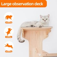 Nouveau design d'étagères et de perchoirs pour chats pour mur ensemble de marches d'escalade murales pour chat personnalisé étagères murales pour chat de jeu