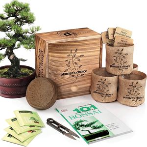 Kit de inicio de árbol de bonsái pequeño de lujo, Kit de cultivo de jardín <span class=keywords><strong>interior</strong></span> con herramientas de maceta de fertilizante para el cuidado de las plantas - Product Image 1