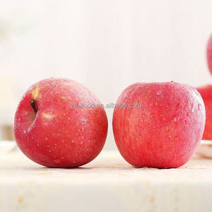 แอปเปิ้ลฟูจิจีนออร์แกนิก เกรด 1 จากซานตง รสหวานคล้ายฟูจิ - Product Image 6