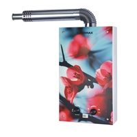 Chauffe-eau à gaz instantané sans réservoir 10L 12L à évacuation forcée, type Geyser, pour usage domestique, compatible GPL/GN, fabrication OEM/ODM