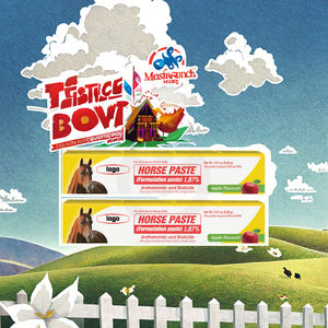 Supplément de probiotiques nutritionnels OEM pour la santé digestive et le soutien immunitaire du cheval Type de vitamines - Product Image 3