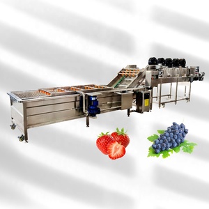 Lavadora de frutas vegetales completamente automática Motor de núcleo de nueva condición para limpiar manzanas aguacates mangos patatas Más - Product Image 6
