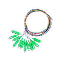 Factory Direct Price 12-Core 0.9mm SC/APC Single Mode Fibre Bundle Pigtail 1M Available Fibre Optic Patch Cord
