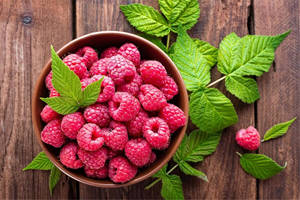 <strong>Raspberry</strong> <strong>Extract</strong> <strong>Raspberry</strong> Ketone <strong>Capsules</strong> Powder 99% Good Quality <strong>Raspberry</strong> Ketone <strong>Extract</strong> 1KG - Product Image 5