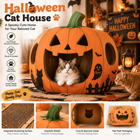 Emballage saisonnier en carton ondulé personnalisé en forme de citrouille d'Halloween