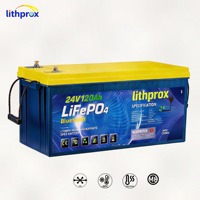 Batterie LiFePO4 24V 120Ah Grade A pour VR, cycle profond, CAN Bus, BMS intelligent, borne M8, 6000 cycles, CE RoHS IP67
