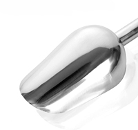 Pelle utilitaire en acier inoxydable pour farine de glace, pelle pour grains de café, thé en vrac, pelle pour glace, bonbons, pop-corn, sucre, pelle pour la maison