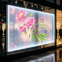 Écran LED transparent personnalisé P3.91, écran LED haute transparence pour vitrine de centre commercial, publicité commerciale sur mur de verre