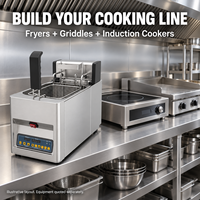Friteuse électrique professionnelle de comptoir 8L, cuve unique, panier unique, 3kW pour les restaurants de restauration rapide et les cuisines de traiteur