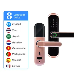 With Keypads And Voice Guide APP Remote Control Smart Lock 5-in-1 Keyless Entry Fingerprint Tuya Door Gate Lock