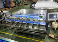 Blauwe-bessen intelligente robot weeg-, verpakkings- en sorteermachine