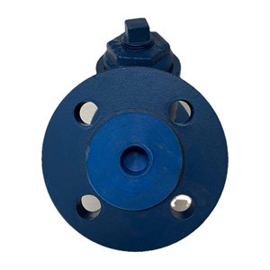 Filtro de Hierro Dúctil Tipo Y con Conexión de Brida OEM G9FL16 para Sistemas de Agua, Hecho en China - Product Image 5
