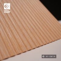 Panneau mural en bois moderne résistant à l'humidité pour usage commercial avec solution de conception technique
