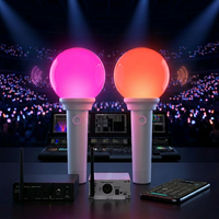 Projecteur LED portable à commande par application, certifié TELEC/KCC, DMX/RF/Bluetooth, couleurs personnalisables, logo, utilisation extérieure pour concerts