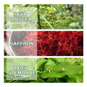 Gel Localisé Nourrissant Antibactérien à Base de Plantes 10ml pour le Traitement du Vitiligo, du <span class=keywords><strong>Psoriasis</strong></span>, des Taches Blanches et de la Leucoplasie - Product Image 5