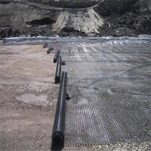 Hot nhà máy Giá bán Chất lượng cao hai trục nhựa <span class=keywords><strong>geogrids</strong></span> cho xây dựng đường mềm màu đen ngang đóng gói màu sắc - Product Image 5