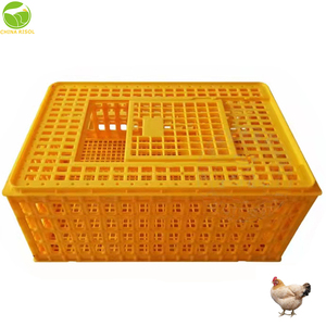 Cajón <span class=keywords><strong>de</strong></span> transporte <span class=keywords><strong>de</strong></span> pollo grande, ventilación superior, jaula <span class=keywords><strong>de</strong></span> transporte <span class=keywords><strong>de</strong></span> animales, cesta <span class=keywords><strong>de</strong></span> gallinero para aves, cestas para palomas, fotos usadas - Product Image 3