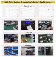 Batterie LiFePO4 50kWh 48kWh 51.2V 314Ah avec équilibreur actif, module WiFi et extincteur, stock US/UE, DDP sans taxes, pour stockage domestique