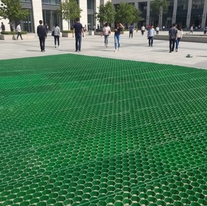 Rejillas Permeables para Césped de Gran Resistencia a la Compresión de 50 mm para Campos de Golf, Caminos de Entrada, Jardines, Estacionamientos y Techos Verdes - Product Image 5