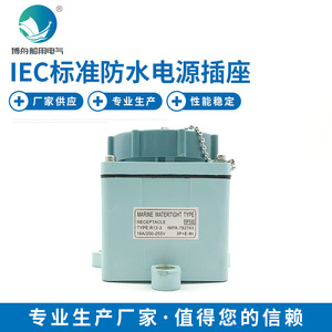 ปลั๊กไฟมาตรฐาน IEC แบบสองช่อง R12-3 สีน้ำเงิน สำหรับเรือ 792763 สำหรับเรือเดินทะเล 125A ทองเหลือง ABS IP44 IP67 ผู้ผลิตอุปกรณ์ทางทะเล - Product Image 5