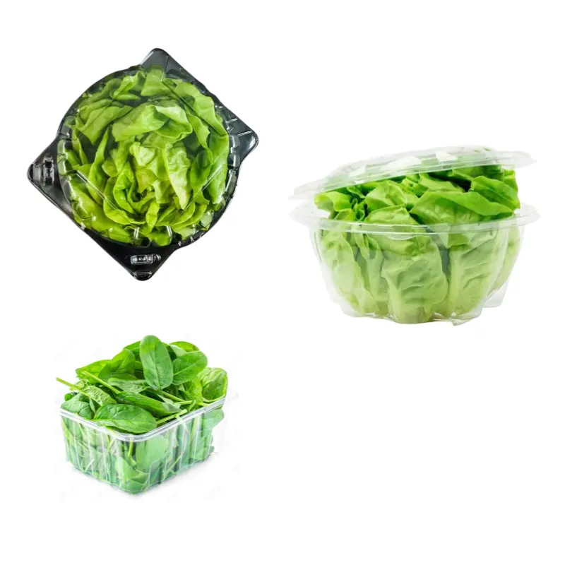 新鮮な野菜のための食品グレードのPETプラスチックボックスクリアレタスケールトマトペッパーハーブクラムシェル包装