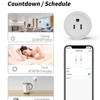 Stop Kontak Pintar Standar AS Tuya dengan Timer, Kontrol Suara Alexa, Kontrol Aplikasi, Warna Perunggu Fosfor, Langsung dari Pabrik