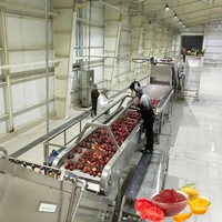 Op maat gemaakte tomatenverwerkingsmachines, industriële lijnen voor het inblikken, sap, puree en drankenproductie van tomaten