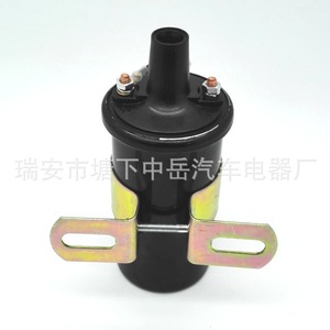 Bobina de Encendido Toyota 90919-02098 C6R800 DQG462 Tipo Aceite para Reemplazo y Reparación - Product Image 1
