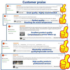 Congelador Horizontal Profesional Sin Escarcha, Descongelación Automática, Gran Volumen, <span class=keywords><strong>para</strong></span> Supermercados, Ideal <span class=keywords><strong>para</strong></span> Carnes - Product Image 5