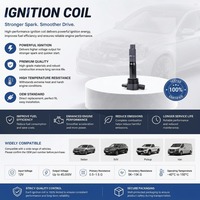 Pièces automobiles Bobine d'allumage du moteur 479Q18100 pour Haima Happin 479Q Qualité d'origine Vente en gros d'accessoires automobiles