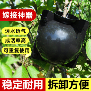 <b>Plant</b> Air Layering Propagation Box Black Transparent Plastic <b>Wall</b> <b>Mounted</b> Rooting Device For Tree Grafting Horticulture - Product Image 2