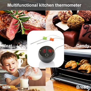 เทอร์โมมิเตอร์วัดอุณหภูมิอาหารบาร์บีคิวไร้สายบลูทูธแบบดิจิตอลควบคุมผ่านแอพ พร้อมฐานแม่เหล็ก <span class=keywords><strong>2</strong></span> หัววัด ใช้ได้กับเตาอบในร่ม - Product Image 2