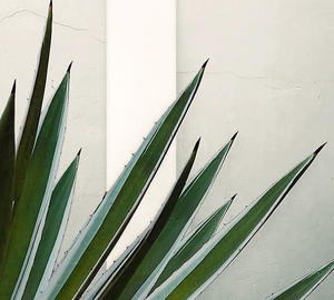 Stampa UV Personalizzata di Qualsiasi Design, Poster Decorativo da <span class=keywords><strong>Parete</strong></span>, Stampa su Specchio, Dipinto - Product Image 3