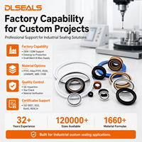 Sello Energizado por Resorte PEEK para Vástago de Cilindro Hidráulico, Sellado de PTFE Resistente al Calor, Ingeniería Personalizada Dlseals