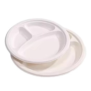Eco Friendly 3 <b>Compartment</b> Sugarcane Bagasse Natural & Healthy Biodegradable Disposable <b>Plate</b> for Household Use - Product Image 1