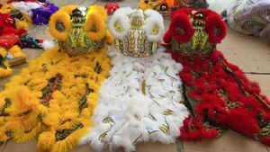 Costume de danse <span class=keywords><strong>du</strong></span> lion de style grue <span class=keywords><strong>du</strong></span> <span class=keywords><strong>sud</strong></span> de Foshan pour le Nouvel An chinois, danse folklorique chinoise <span class=keywords><strong>du</strong></span> lion - Product Image 3