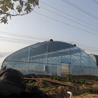 Offre Spéciale grande portée unique serre agricole Tunnel économique PC feuille couverture pour légumes culture cerceau maison
