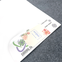 Logotipo personalizado Nuevo diseño Colorido Impresión en offset A4 Archivo de papel Carpeta de presentación con bolsillo
