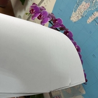 Papier Offset Rpll 55gsm/58gsm/65gsm de Haute Qualité, Marque FONWIN, Papier Offset Sans Bois Blanc Éclatant pour l'Impression