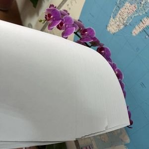 Papier Offset Rpll 55gsm/58gsm/65gsm de Haute Qualité, Marque FONWIN, Papier Offset Sans Bois Blanc Éclatant pour l'Impression - Product Image 2