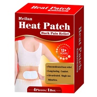 Patch de physiothérapie personnalisé au fer en poudre pour soulager la douleur, pour les tensions des épaules et du dos, détend les muscles raides, compresses chaudes et froides