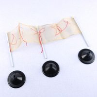 Physics Lab Static Electricity Experiment Electrostatic Test Flag Teaching Instrument for Physics Classroom Demonstration