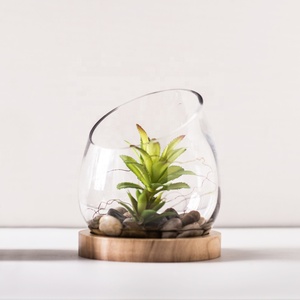 5 pollici Premium bocca inclinata in vetro trasparente pianta aria terrario, Mini ciotola di caramelle barattolo, portacandele Tealight, <span class=keywords><strong>vaso</strong></span> di <span class=keywords><strong>Cactus</strong></span> succulento - Product Image 4
