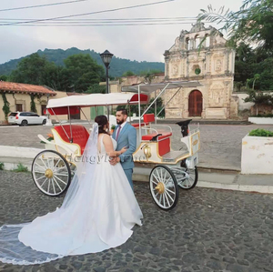 Limosina <span class=keywords><strong>elegante</strong></span>/de la boda de turismo Caballo Blanco transporte/de cuento de hadas Victoria transporte para la Iglesia. - Product Image 3