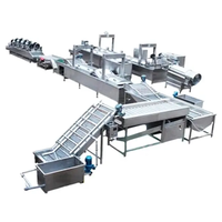 Commerciële apparatuur voor de productie van fruit- en groentechips, automatische productielijn voor het wassen, schillen, snijden en frituren van frieten