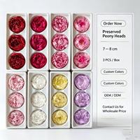 Têtes de pivoines naturelles préservées en gros – Fleurs longue durée pour la Saint-Valentin, le Nouvel An et la décoration de Noël – Cadeaux et décorations