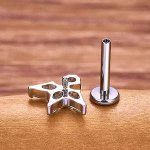 Anneau de labret <span class=keywords><strong>en</strong></span> titane ASTM-F136 Gaby avec zircon, bijoux de <span class=keywords><strong>piercing</strong></span> pour enfants, cadeau de mariage, boucles d'oreilles à filetage interne - Product Image 5